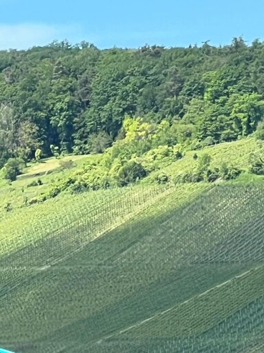 Weingut zum Kauf 3.800 € Stetten Kernen-Stetten 71394