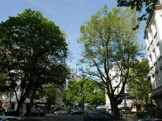 Wohnung zur Miete 4.100 € 6 Zimmer 242,1 m² 1. Geschoss Charlottenburg Berlin 10629