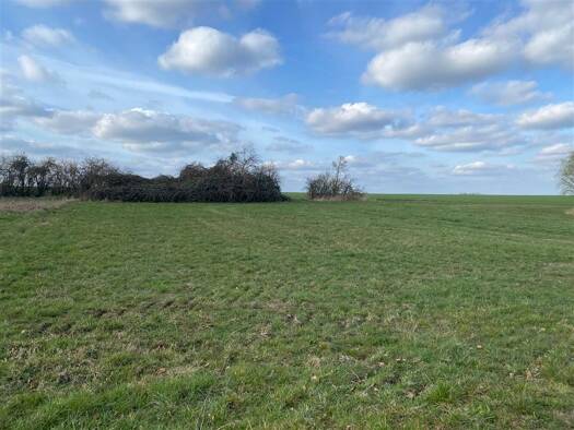 Grundstück zum Kauf 45.000 € 1.541 m² Grundstück frei ab sofort Kornhain Wurzen 04808