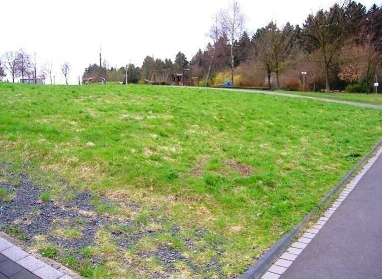 Grundstück zum Kauf provisionsfrei 89.000 € 729 m²<br/>Grundstück Altenkirchen Altenkirchen (Westerwald) 57610