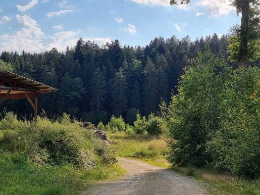 Halle/Industriefläche zum Kauf 690.000 € 1.900 m² Lagerfläche Litschau 3874