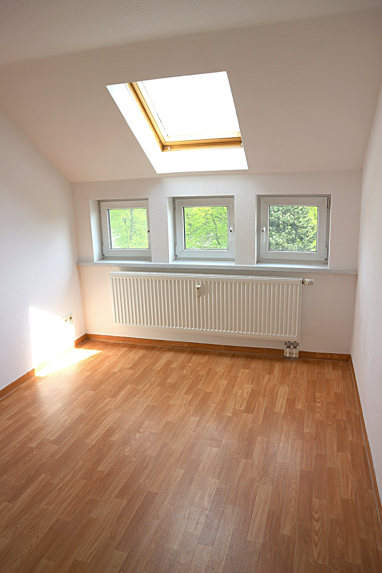 Wohnung zur Miete 295 € 2 Zimmer 47 m² 3. Geschoss Yorckstraße 49 Sonnenberg 213 Chemnitz 09130