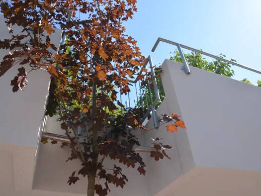 Doppelhaushälfte zum Kauf - Erstbezug provisionsfrei 646.000 € 5 Zimmer 136 m² 221 m² Grundstück Althengstett 75382