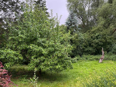 Grundstück zum Kauf 360.000 € 793 m² Grundstück Braunschweig / Schuntersiedlung 38108