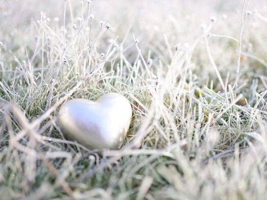 Einfamilienhaus zum Kauf 592.034 € 6 Zimmer 160 m² 486 m² Grundstück Ickern Castrop Rauxel 44577