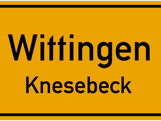 Doppelhaushälfte zum Kauf 289.000 € 4 Zimmer 135 m² 354 m² Grundstück frei ab sofort Am Piepenbrink 30 Knesebeck Wittingen 29379