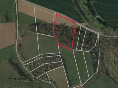 Grundstück zum Kauf 12.900 € 6.670 m² Grundstück Bennungen Bennungen 06536
