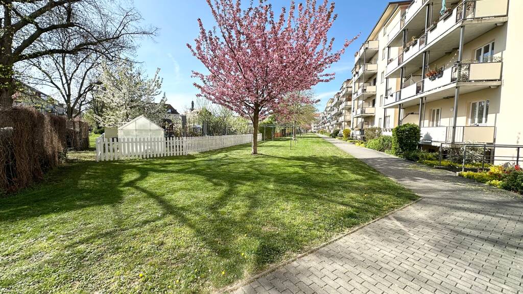 Wohnung zum Kauf als Kapitalanlage geeignet 155.000 € 2 Zimmer 55 m² Altenberger Platz 18 Tolkewitz/Seidnitz-Nord Dresden 01277