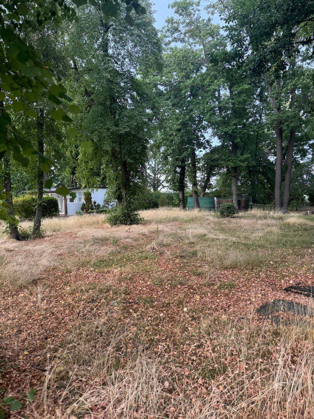 Immobilie in Weißenfels - Haus in Bestlage mit Baumbestand - Bild 3