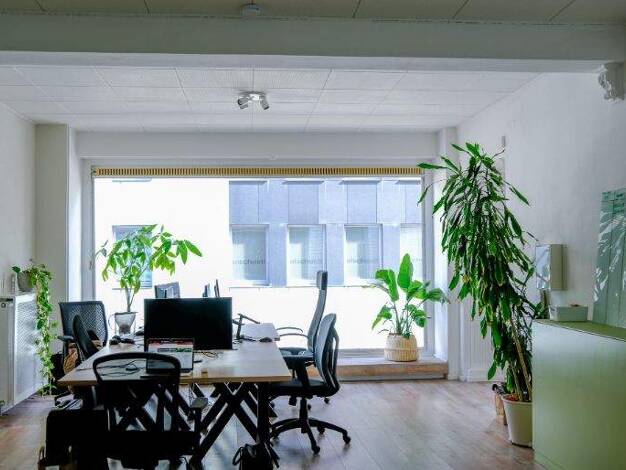 Bürofläche zur Miete provisionsfrei 250 € 4 m² Bürofläche Benesisstraße Altstadt-Nord Köln 50672