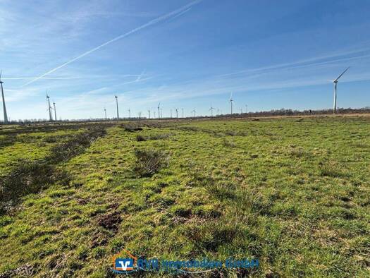 Land-/Forstwirtschaft zum Kauf 20.038 m² Grundstück Zwischenbergen Wiesmoor 26639