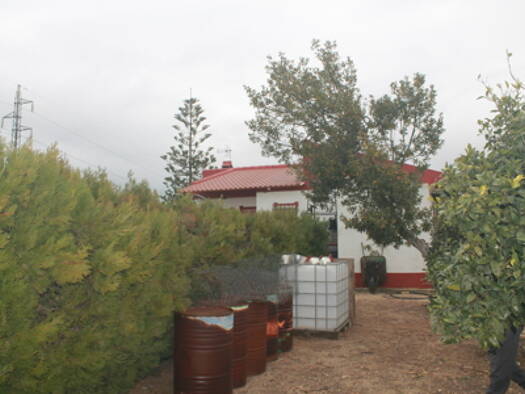 Bauernhaus zum Kauf provisionsfrei 160.000 € 4 Zimmer 120 m² 1.800 m² Grundstück Bollullos par del Condado 21710