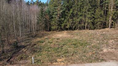 Grundstück zum Kauf 245.000 € 725 m² Grundstück Kronach Fürth 90765
