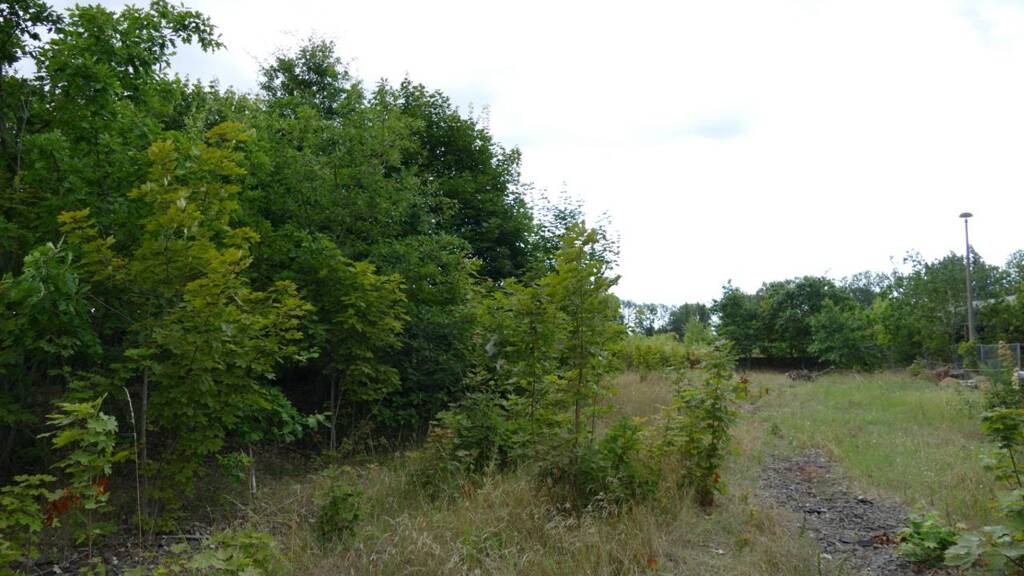 Grundstück zum Kauf 700.000 € 20.727 m² Grundstück frei ab sofort Rudolf-Tarnow-Straße 0 Ludwigslust 19288