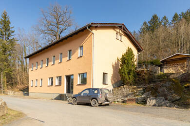 Mehrfamilienhaus zum Kauf 258.000 € 11 Zimmer 272 m² 1.221 m² Grundstück Langenhennersdorf Bad Gottleuba-Berggießhübel 01816
