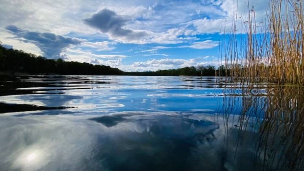 Haus zur Miete Wohnen auf Zeit 1.050 € 2 Zimmer 58 m² Böhmerheide Schorfheide 16244