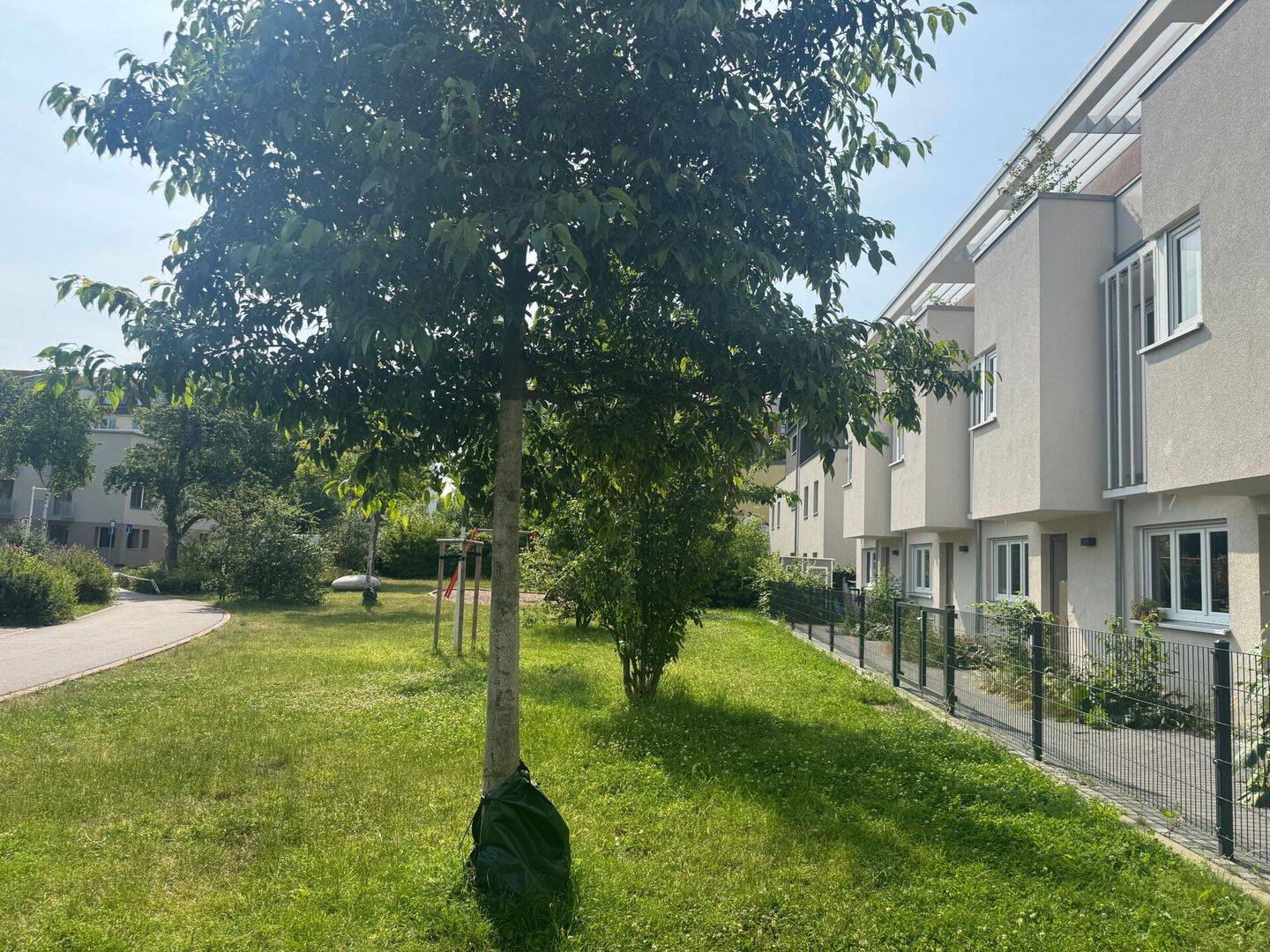 Property thumbnail 6