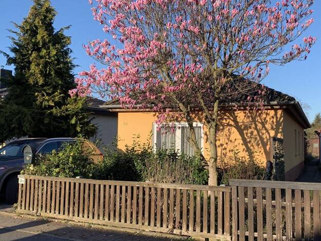 Einfamilienhaus zum Kauf provisionsfrei 295.000 € 3 Zimmer 87 m² 582 m² Grundstück Diesdorf Diesdorf 39110