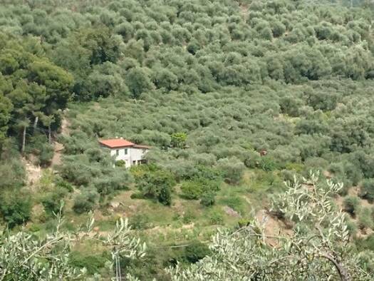 Haus zum Kauf 325.000 € 2 Zimmer 90 m² 12.000 m² Grundstück San Bartolomeo al Mare 18016