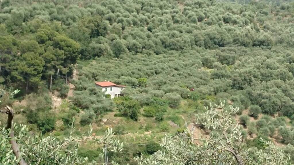 Haus zum Kauf 325.000 € 2 Zimmer 90 m² 12.000 m² Grundstück San Bartolomeo al Mare 18016