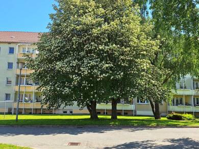 Wohnung zum Kauf als Kapitalanlage geeignet 49.000 € 2 Zimmer 49,3 m² Am Heckborn Berlstedt Berlstedt 99439
