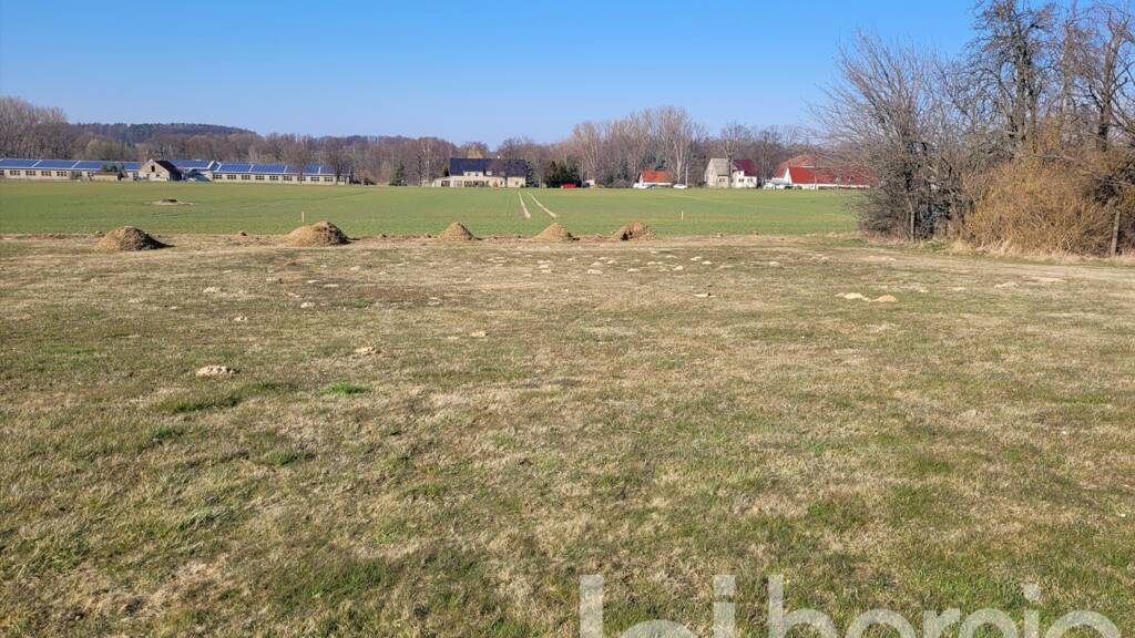 Grundstück zum Kauf 96.400 € 1.205 m² Grundstück Siebitz Göda 02633