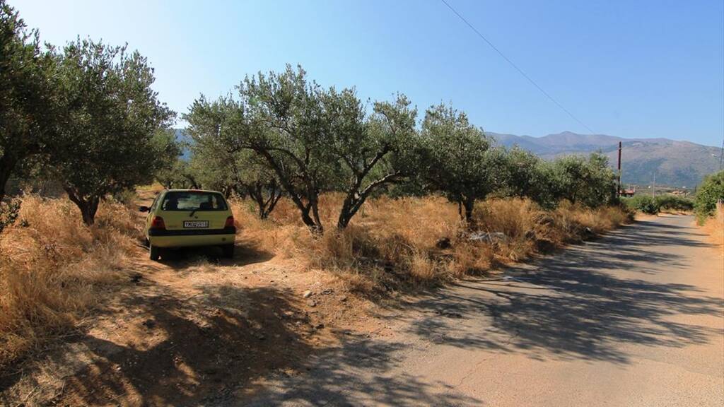 Land-/Forstwirtschaft zum Kauf 150.000 € 1.500 m² Grundstück Kreta