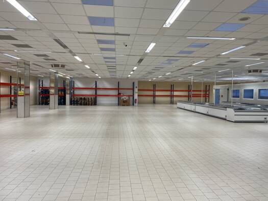 Laden zur Miete provisionsfrei 1.000 m² Verkaufsfläche Neuplanitzer Straße 94 Neuplanitz Zwickau 08062