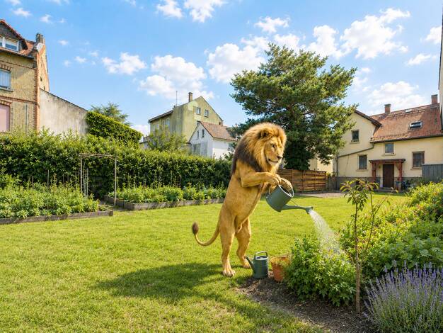 Freizeitgrundstück zur Miete 50 € 495 m² Grundstück Darmstadt Darmstadt 64289