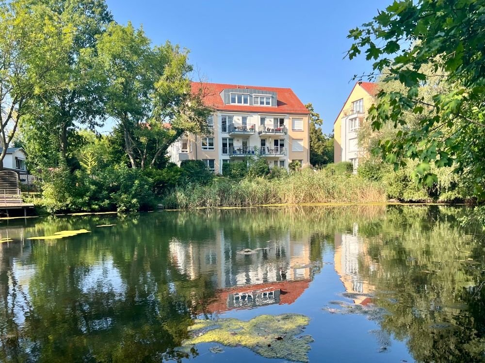 Wohnung zum Kauf 74.900 € 2 Zimmer 50 m²<br/>Wohnfläche Südliche Neustadt Halle (Saale) 06124