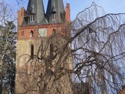 Grundstück zum Kauf 631.000 € 1.262 m² Grundstück Zepernick Panketal 16341