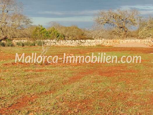 Grundstück zum Kauf provisionsfrei 475.000 € 17.000 m² Grundstück Baugenehmigung vorhanden Santanyi Mallorca