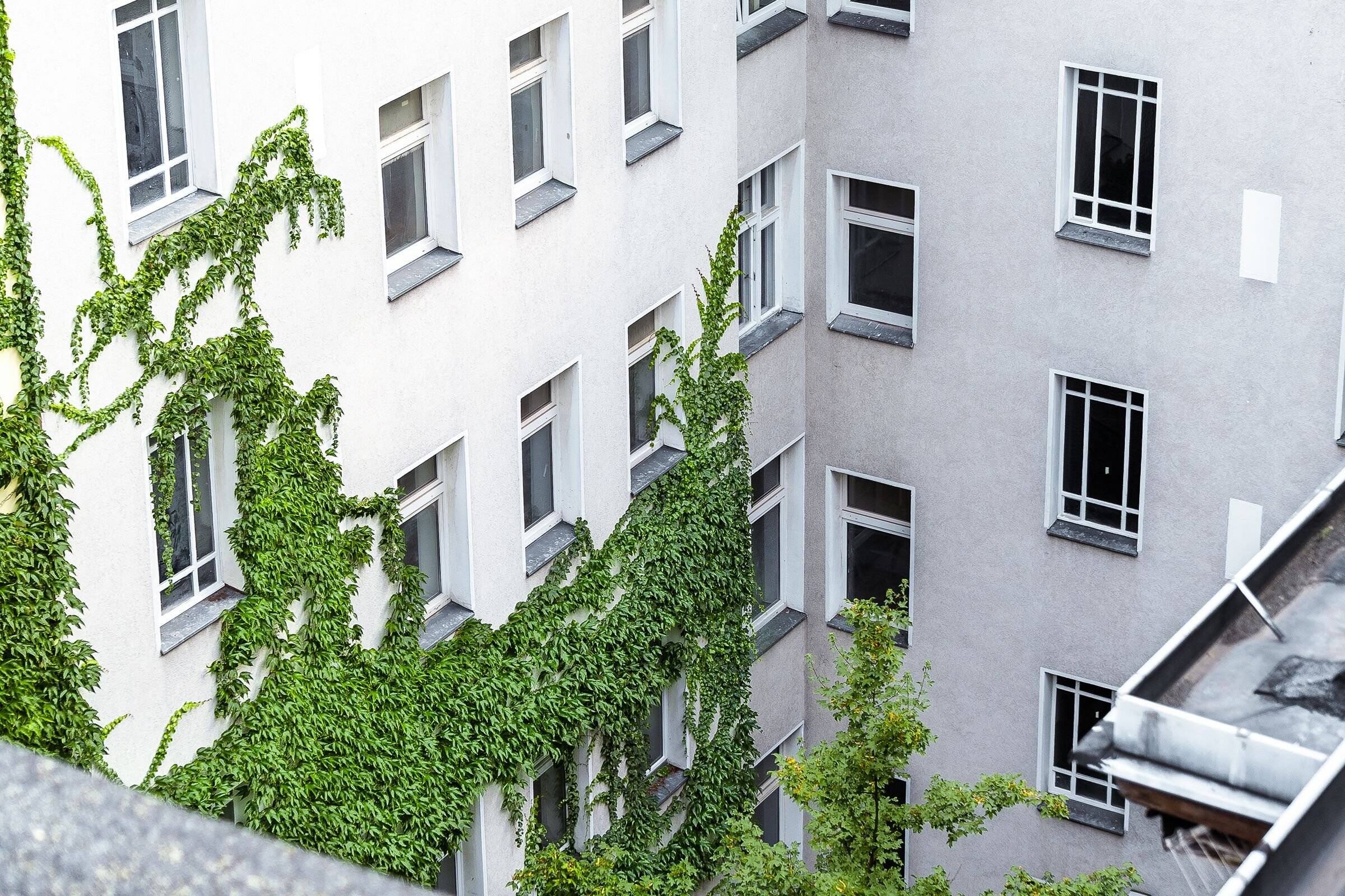 Property thumbnail 7