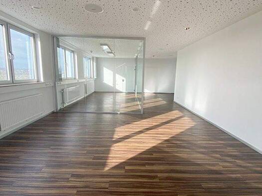 Bürofläche zur Miete provisionsfrei 6,50 € 240 m² Bürofläche Burgholzhausen Friedrichsdorf 61381