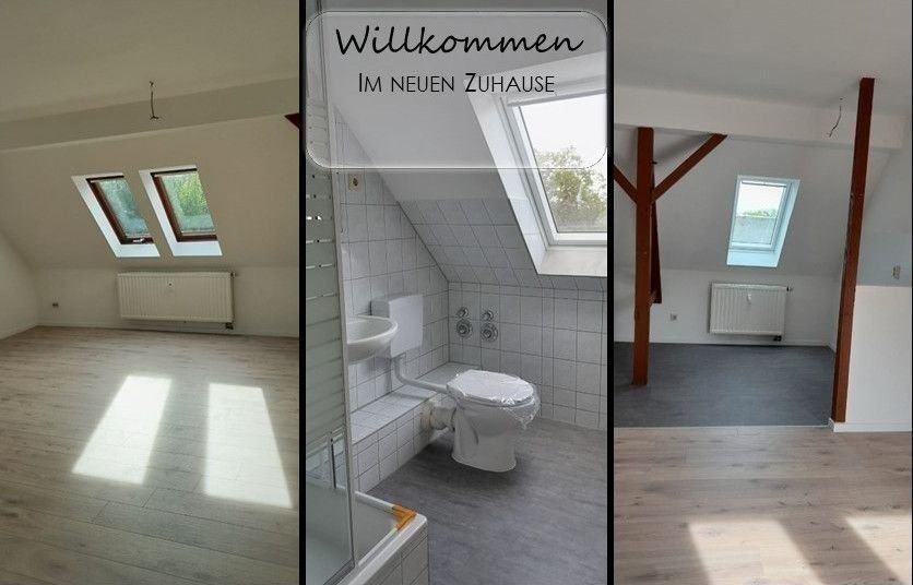 Wohnung zur Miete 190 € 1 Zimmer 31,4 m²<br/>Wohnfläche 3.<br/>Geschoss Knielohstraße 8 Ostvorstadt Plauen 08527