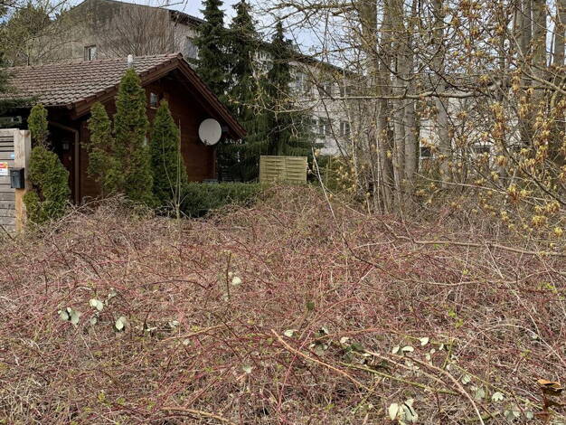 Haus zum Kauf provisionsfrei 178.000 € 3 Zimmer 63 m² 242 m² Grundstück Stove 23974