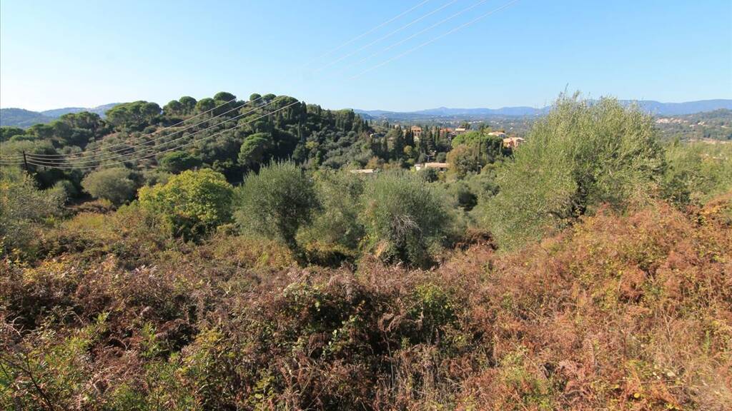 Land-/Forstwirtschaft zum Kauf 130.000 € 6.000 m² Grundstück Korfu