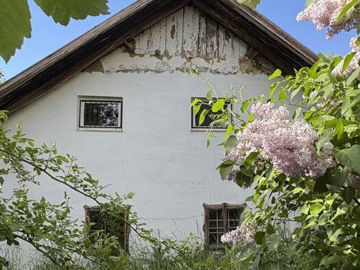 Grundstück zum Kauf 190.000 € 3.155 m² Grundstück Niederneukirchen 4491