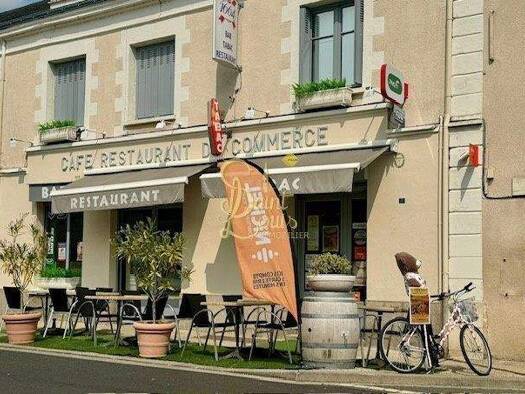 Haus zum Kauf 231.000 € 330 m² Chinon 37500