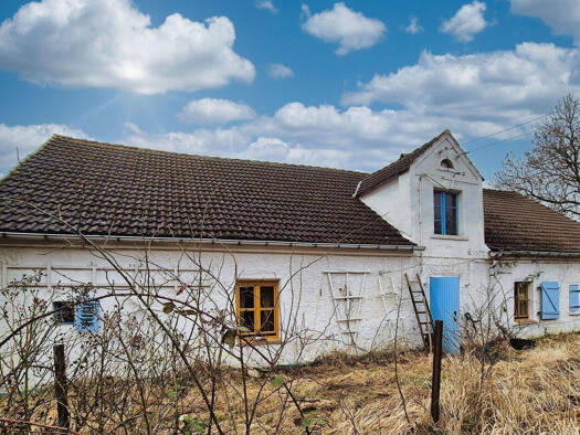 Bauernhaus zum Kauf 137.000 € 3 Zimmer 119 m² 1.640 m² Grundstück frei ab sofort Alt Sanitz Blesewitz 17392