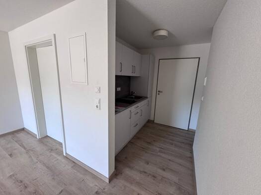 Wohnung zur Miete 540 € 1 Zimmer 35 m² frei ab 01.12.2026 Anton-Günther-Straße Sigmaringen Sigmaringen 72488