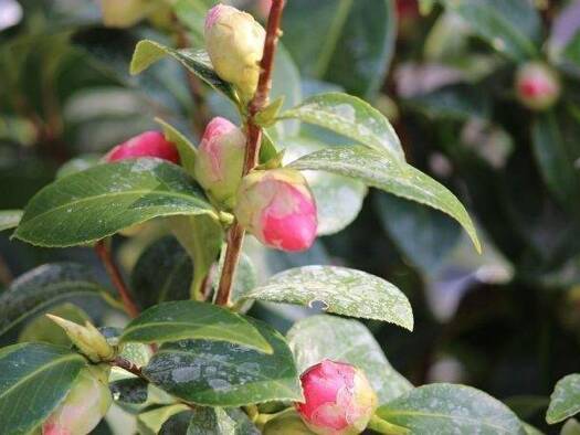 Wohnung zur Miete 1.440 € 3,5 Zimmer 120 m² 1. Geschoss frei ab 01.06.2026 Hauptstrasse 00 Sprendlingen Dreieich 63303