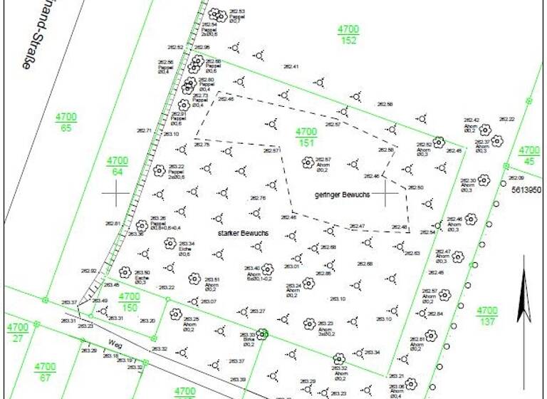 Grundstück zur Miete 200 € 2.489 m² Grundstück Prinz-Louis-Ferdinand-Straße 999 Saalfeld 07318
