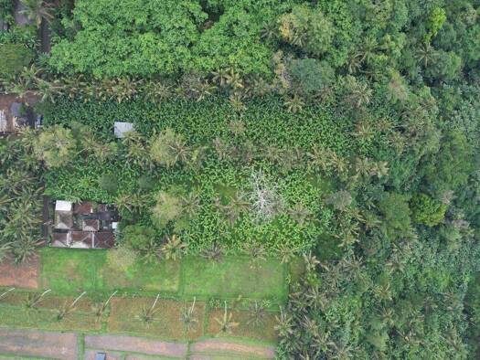 Grundstück zum Kauf 1.800.000 € 6.054 m² Grundstück Puhu, Kecamatan Payangan 80572