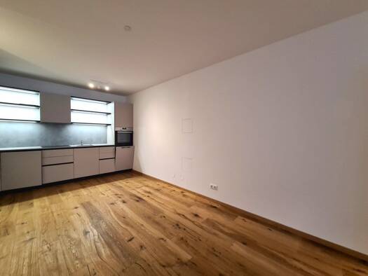 Wohnung zur Miete 673 € 2 Zimmer 54,5 m² 2. Geschoss Pitten 2823