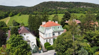 Mehrfamilienhaus zum Kauf 2.400.000 € 374 m² 1.217 m² Grundstück Doktor-Ludwig-Rieger-Straße Mödling 2340