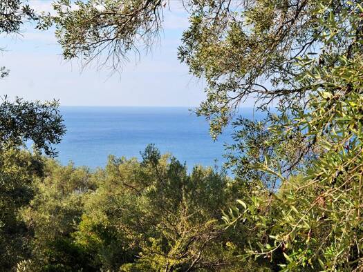 Land-/Forstwirtschaft zum Kauf 230.000 € 7.606 m² Grundstück Korfu