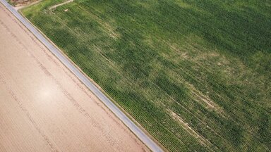 Land-/Forstwirtschaft zum Kauf 150.000 € 18.973 m² Grundstück Bockenau 55595