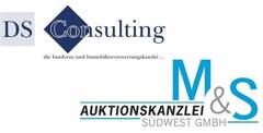 DS Consulting KG & Auktionskanzlei M&S Südwest GmbH logo