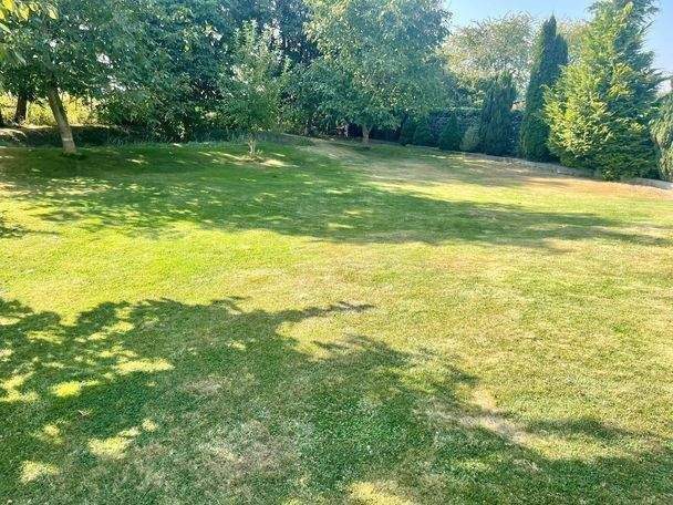 Immobilie in Ratzeburg - Großzügig Wohnen oder Arbeiten auf ca. 300 m² + 1450 m² Grundstück - Bild 3